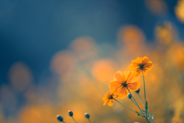 甘肃省专科院校有哪些？