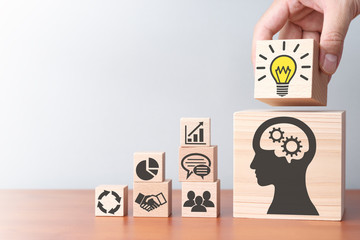 目前栽培的景天类花卉种类都有什么？