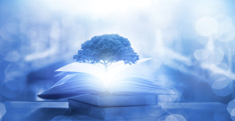 甘肃省专科院校有哪些？