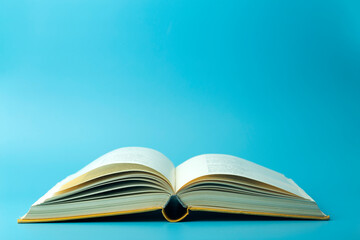 目前栽培的景天类花卉种类都有什么？