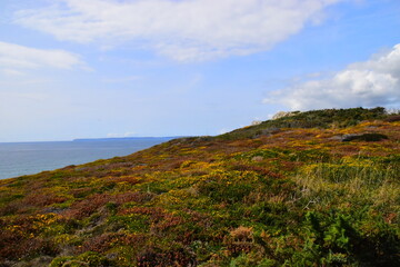 阜阳师范学院的日语系怎么样啊