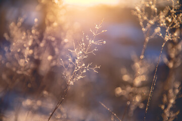电脑怎么接收传真-