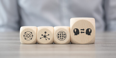 目前栽培的景天类花卉种类都有什么？