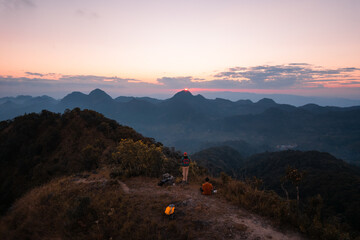 目前栽培的景天类花卉种类都有什么？