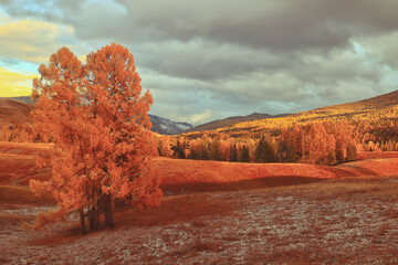 影视考研学校排名