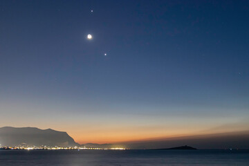 目前栽培的景天类花卉种类都有什么？