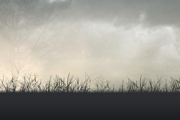 、为什么说旅游使人们产生了“空间距离”和“时间距离“,其依据是什么-