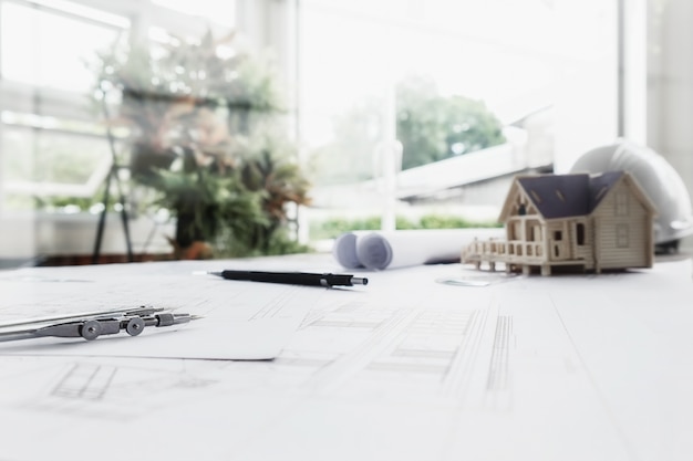 目前栽培的景天类花卉种类都有什么？