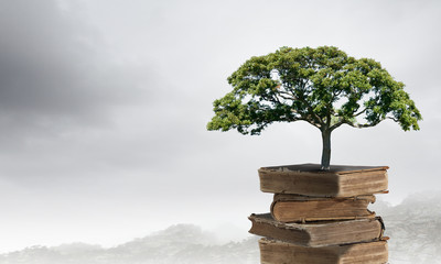 合肥旅游站到石牌的大巴合肥汽车站到石牌