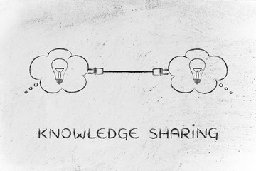 目前栽培的景天类花卉种类都有什么？